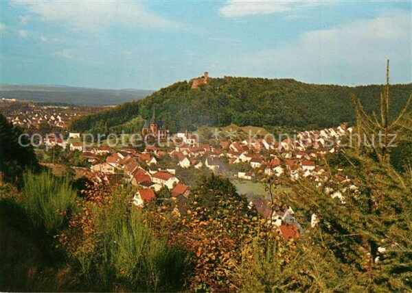 Hohenecken Panorama mit Burg