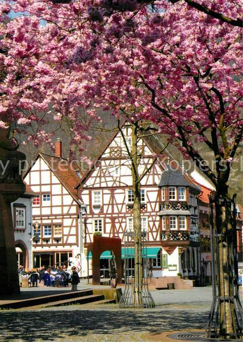 Annweiler Trifels Fachwerkhaus