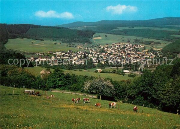 Niederwoerresbach Panorama im Fischbachtal