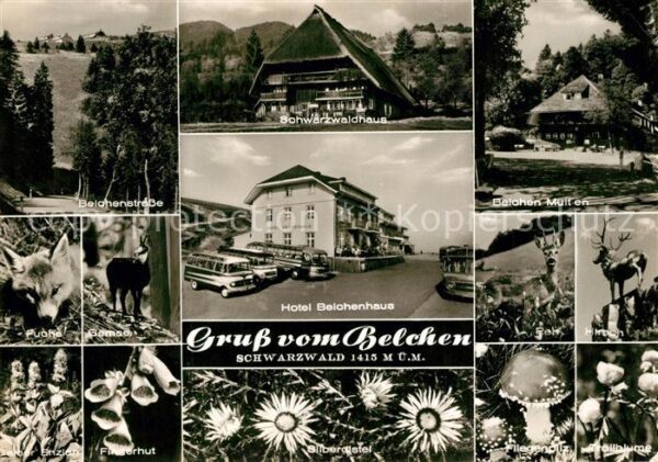 Belchen Baden Belchenstrasse Schwarzwaldhaus Multen H