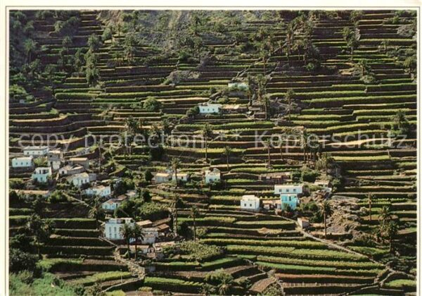 La Gomera Bancales de Valle Gran Rey