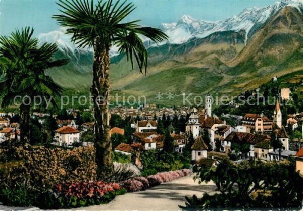 Meran Merano Panorama Kurort Palmen Texelgruppe