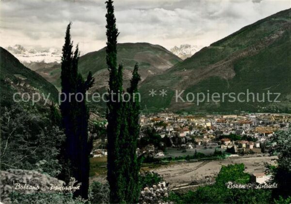 Bozen Suedtirol Gesamtansicht Alpenpanorama