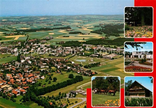 Bad Fuessing Blumenbeet Kurpark Pferdegespann Fliege