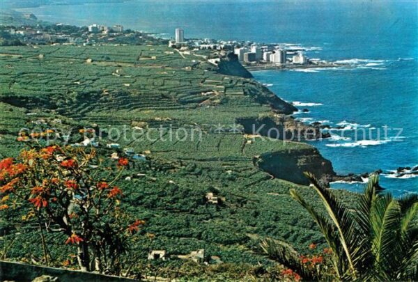 Puerto de la Cruz Valle de La Orotava Costa Steilküste