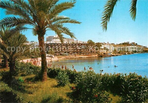 Figueretas Playa Strand Palmen Hotels