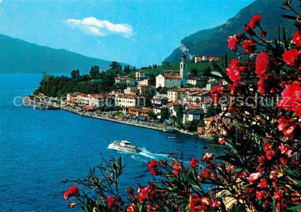 Limone sul Garda Panorama Gardasee Blumen