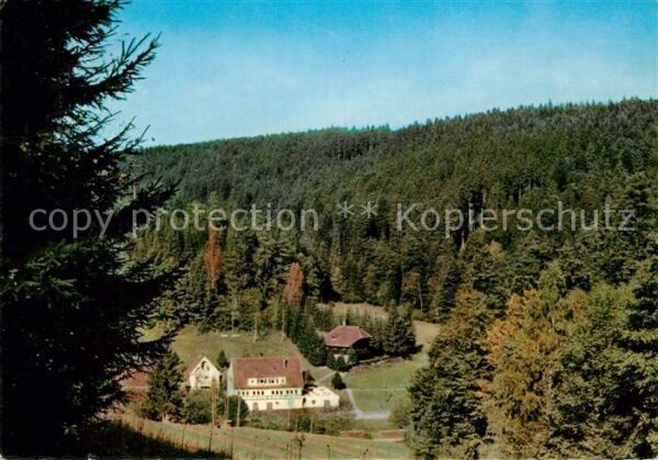 Dobel Schwarzwald Gasthaus Pension Eyachmühle im Eyachtal
