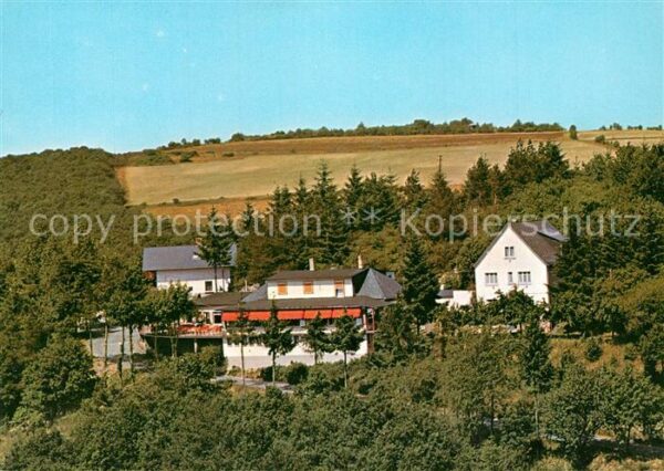 Presberg Rheingau Gaststätte Rheingauer Alp