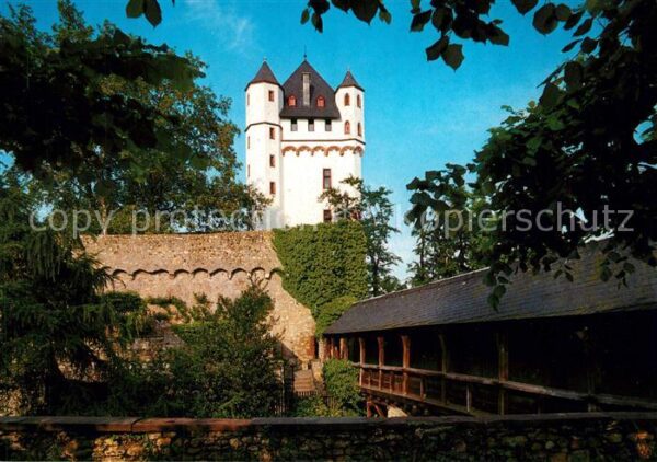 Eltville Rhein Kurfürstliche Burg mit Wehrgang