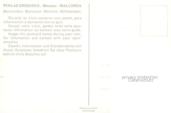 Manacor Perlas Orquidea Perlenmanufaktur – Bild 2