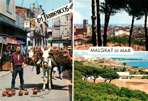 Malgrat de Mar Innenstadt Muli Lasttier Stadtpanorama