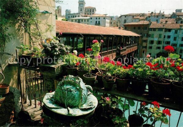 Bassano del Grappa Ponte vecchio sul Brenta e Castello deg