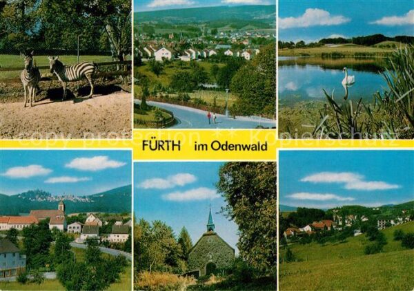 Fuerth Odenwald Tierpark Zebras Teich Schwan Kirche Lan