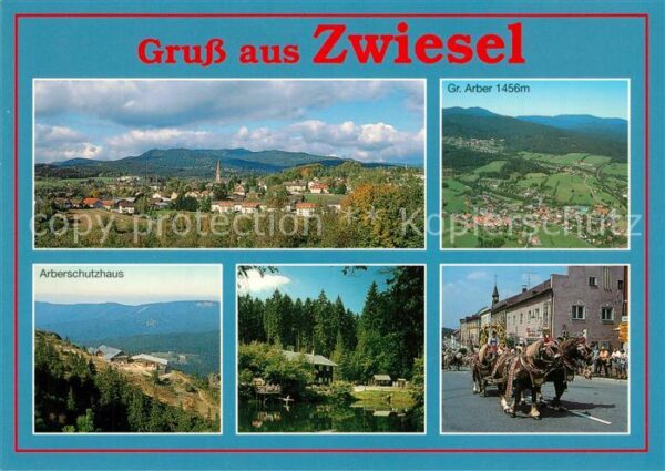 Zwiesel Niederbayern Stadtpanorama Arberschutzhaus Berghaus