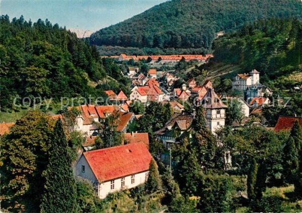 Bad Grund Panorama