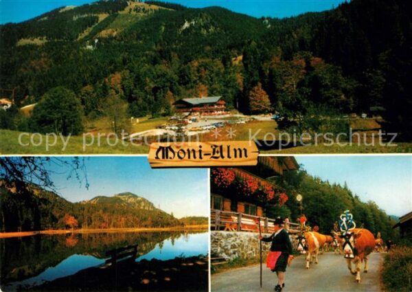 Rottach-Egern Gasthaus Cafe Moni Alm Landschaftspanor