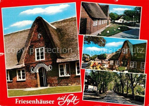 Insel Sylt Friesenhäuser Baumallee