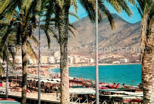 Benidorm Unter Palmen Strand