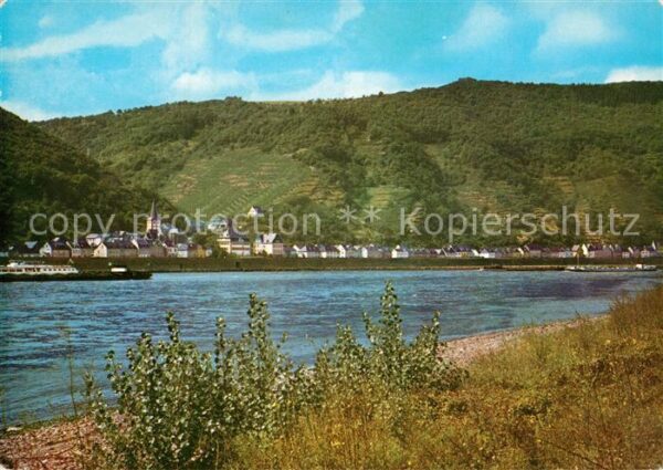 Hirzenach Uferpartie am Rhein