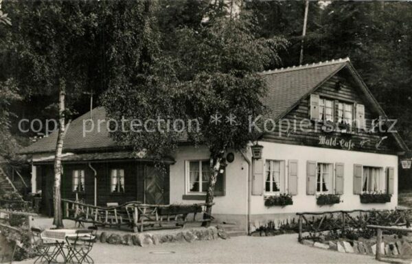 Kronberg Taunus Wald Cafe Bürgelstollen