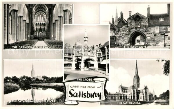 Salisbury Wiltshire Cathedrale Nave East Gate River The Cro