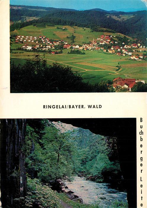 Ringelai Panorama Buchberger Leite