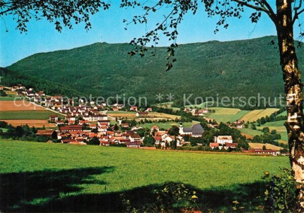 Rimbach Bayrischer Wald Panorama Hoher Bogen