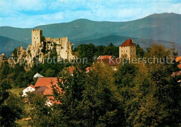 Regen Burgruine Weissenstein