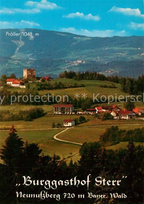 Neunussberg Panorama Burg
