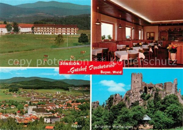 Poschetsried Panorama Regen Burgruine Weißenstein
