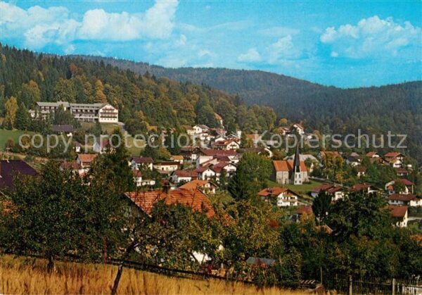Rabenstein Zwiesel Panorama