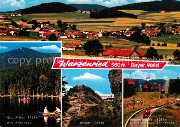 Warzenried Panorama Großer Arber Arbersee Osser Ho