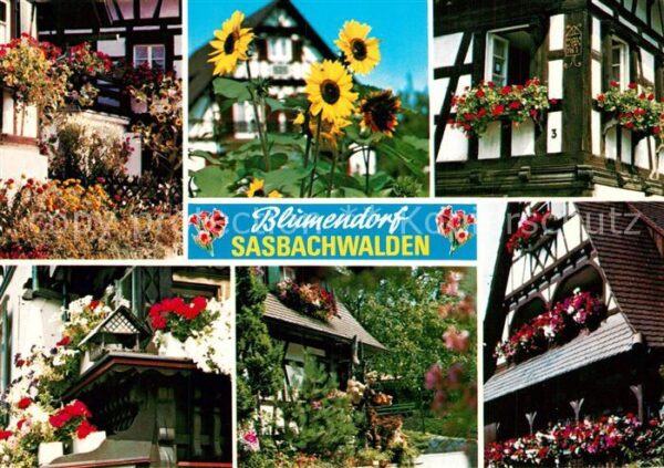 Sasbachwalden Ortsansichten Fachwerkhäuser