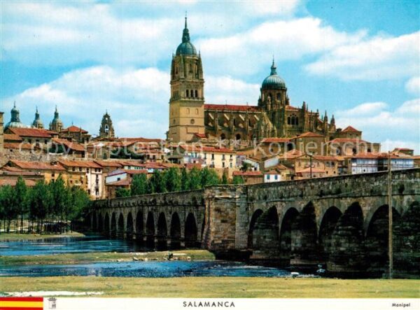 Salamanca Vista parcial y puente romano