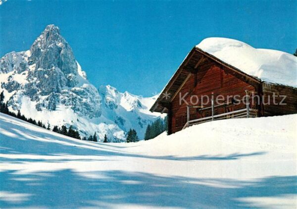 Zelzate Winterlandschaft