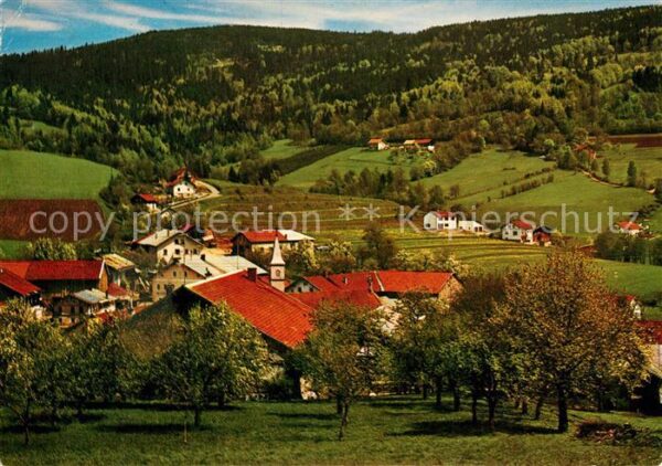 Grainet Panorama