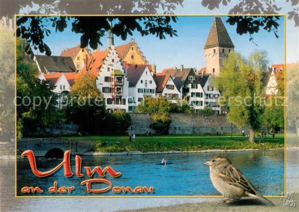 Ulm Donau Stadtpanorama
