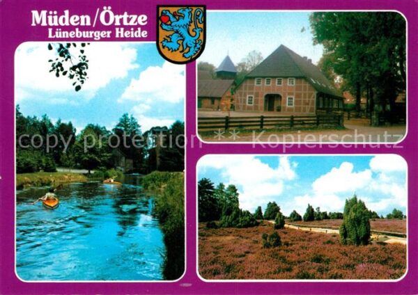 Mueden Oertze Heidekraut Friesenhaus