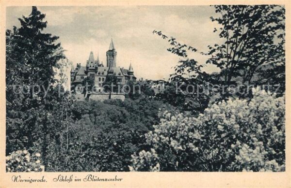Wernigerode Harz Schloss im Blütenzauber