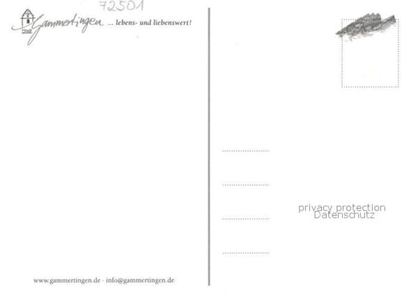 Gammertingen Panorama Rathaus Wegweiser Schloss Fels – Bild 2