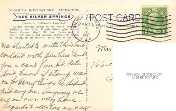 Silver Springs Florida See Silver Springs – Bild 2