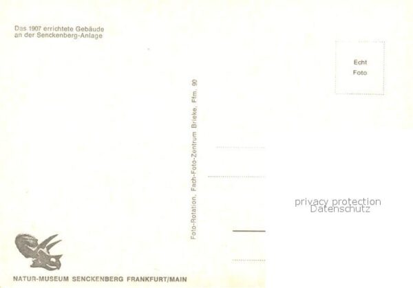 Frankfurt Main Senckenberg-Anlage – Bild 2