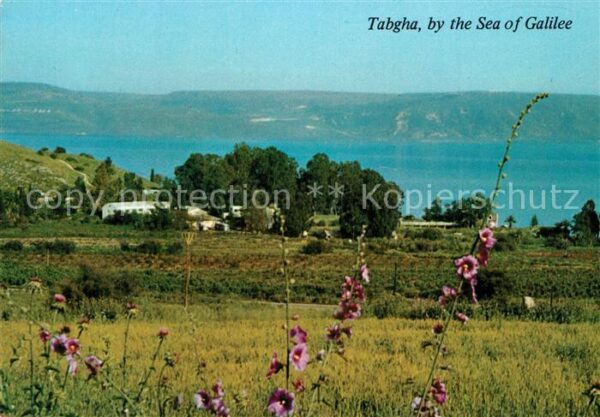 Tabgha Sea of Galilee