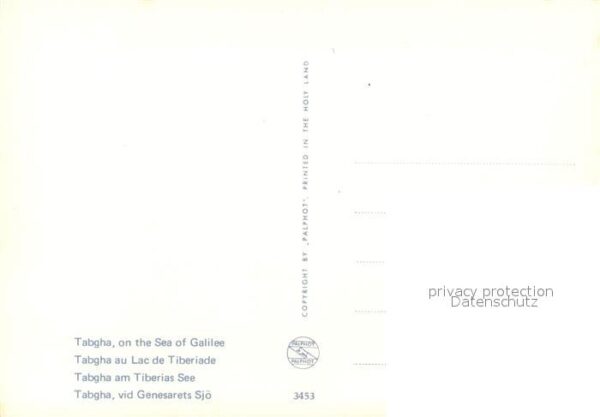 Tabgha Sea of Galilee – Bild 2