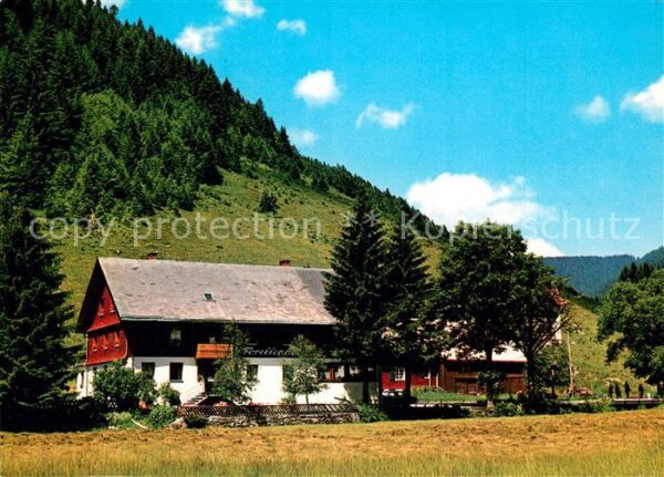 Menzenschwand Gasthaus-Pension Forellenhof