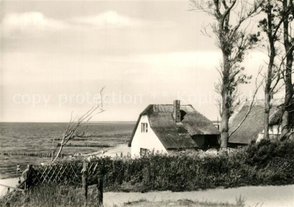 Ahrenshoop Ostseebad Am Steilufer