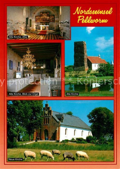 Pellworm Kirche Orgel Altar Schafe