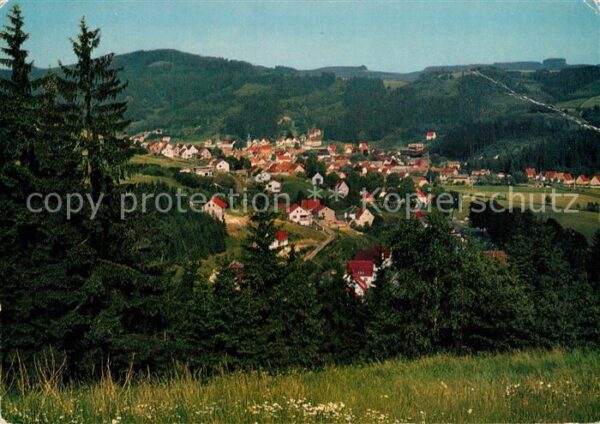 Steinwiesen