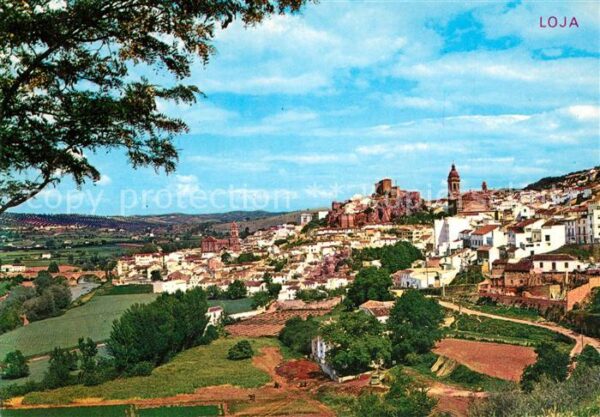 Loja Granada